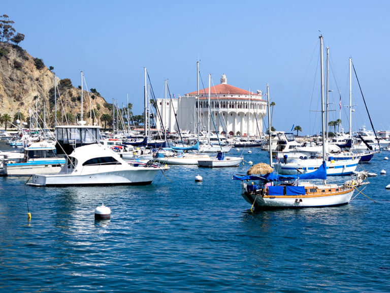 Fishing in SOUTHERN CALIFORNIA - Catalina IAsland 768x576