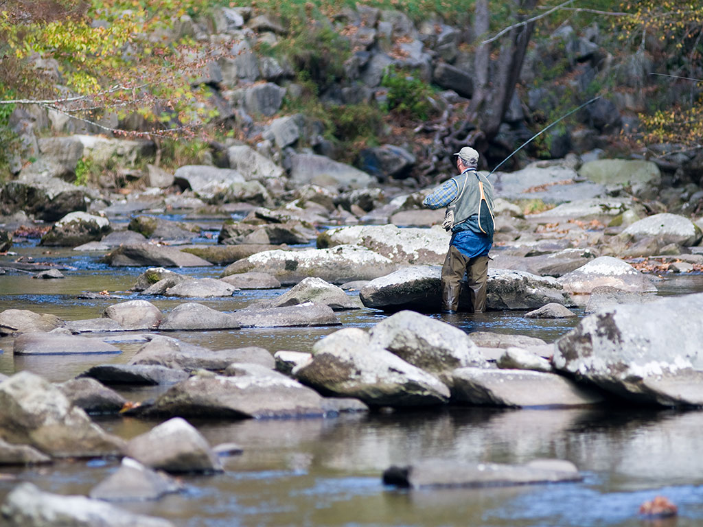 A back view of a fly angler casting a line in the shallow waters in the Great Smoky Mountains surrounded by big rocks and trees on a bright and sunny day