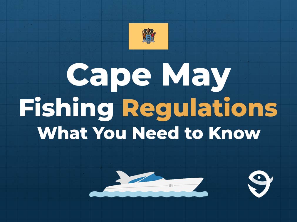 An infographic featuring the flag of New Jersey and text saying "Cape May Fishing Regulations, What You Need to Know" above a vector of a boat against a blue background