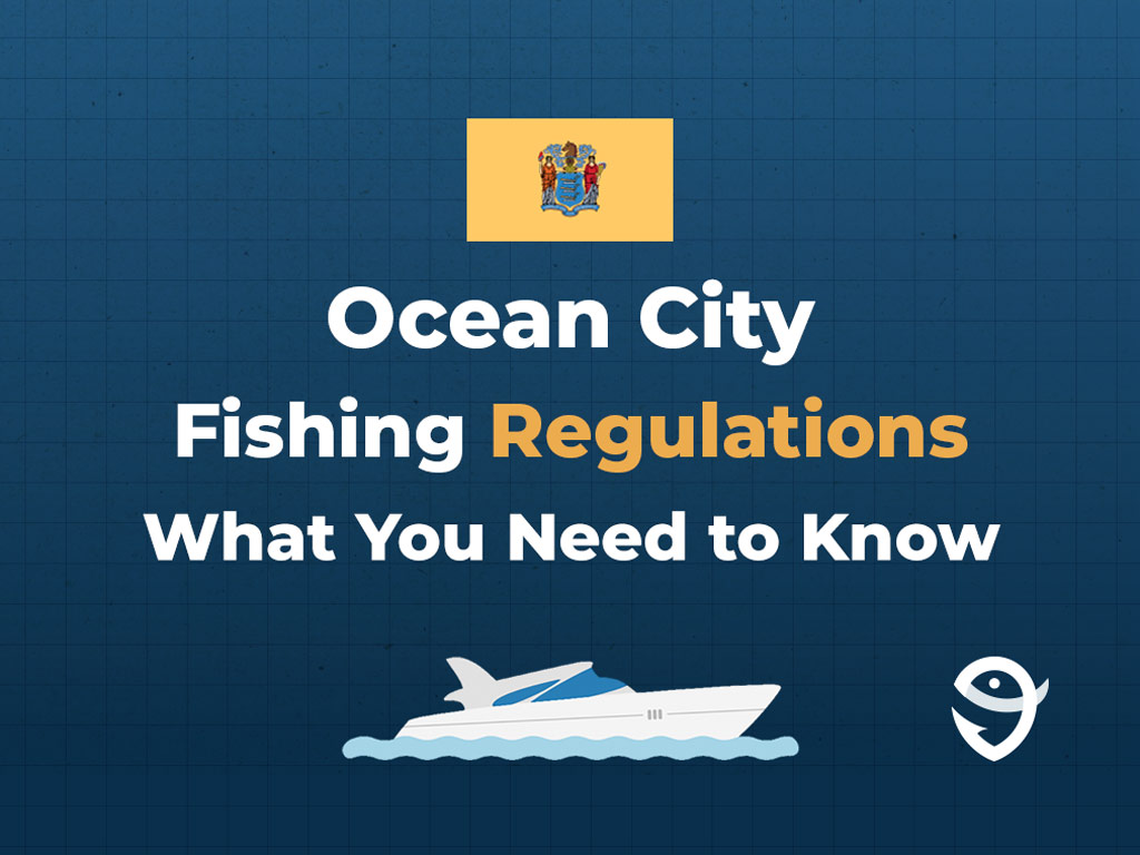 An infographic featuring New Jersey's state flag, along with text saying "Ocean City fishing regulations, what you need to know".