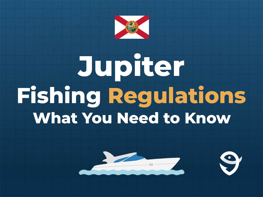 An infographic featuring the flag of Florida and text saying "Jupiter Fishing Regulations, What You Need to Know" above a vector of a boat against a blue background