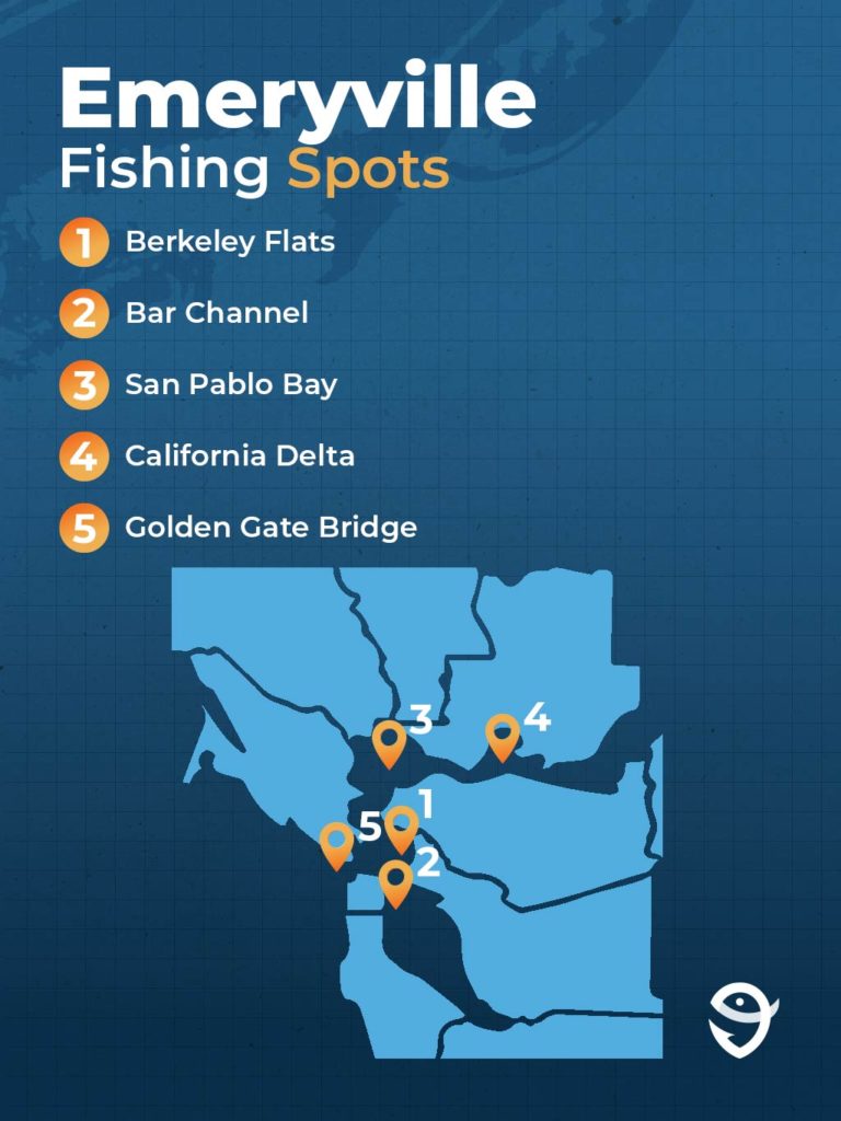 An infographic listing some of the fishing spots around Emeryville, including Berkeley Flats, Bar Channel, San Pablo Bay, California Delta, and Golden Gate Bridge.
