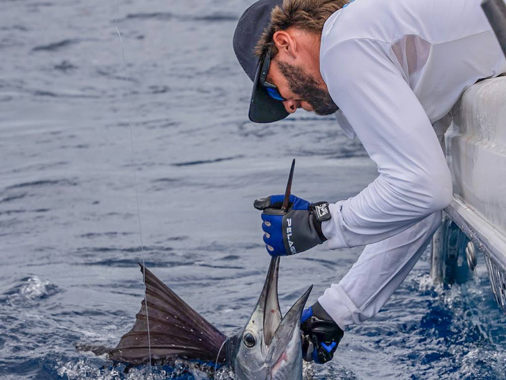 An angler leaning over the side of a boat, holding a Sailfish he caught by its bill.