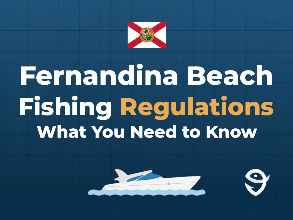 An infographic the flag of Florida above text saying "Fernandina Beach Fishing Regulations, What You Need to Know" above a vector of a boat and the FishingBooker logo against a blue background