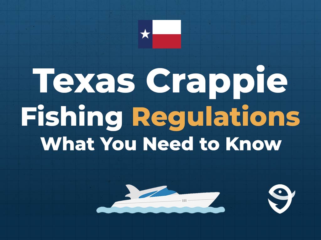An infographic featuring the flag of Texas above text saying "Texas Crappie Fishing Regulations, What You Need to Know" above a vector of a boat and the FishingBooker logo against a blue background