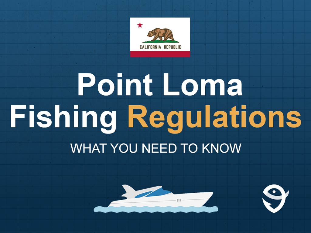 An infographic featuring the flag of California that says "Point Loma Fishing Regulations What You Need to Know" against a dark blue background.