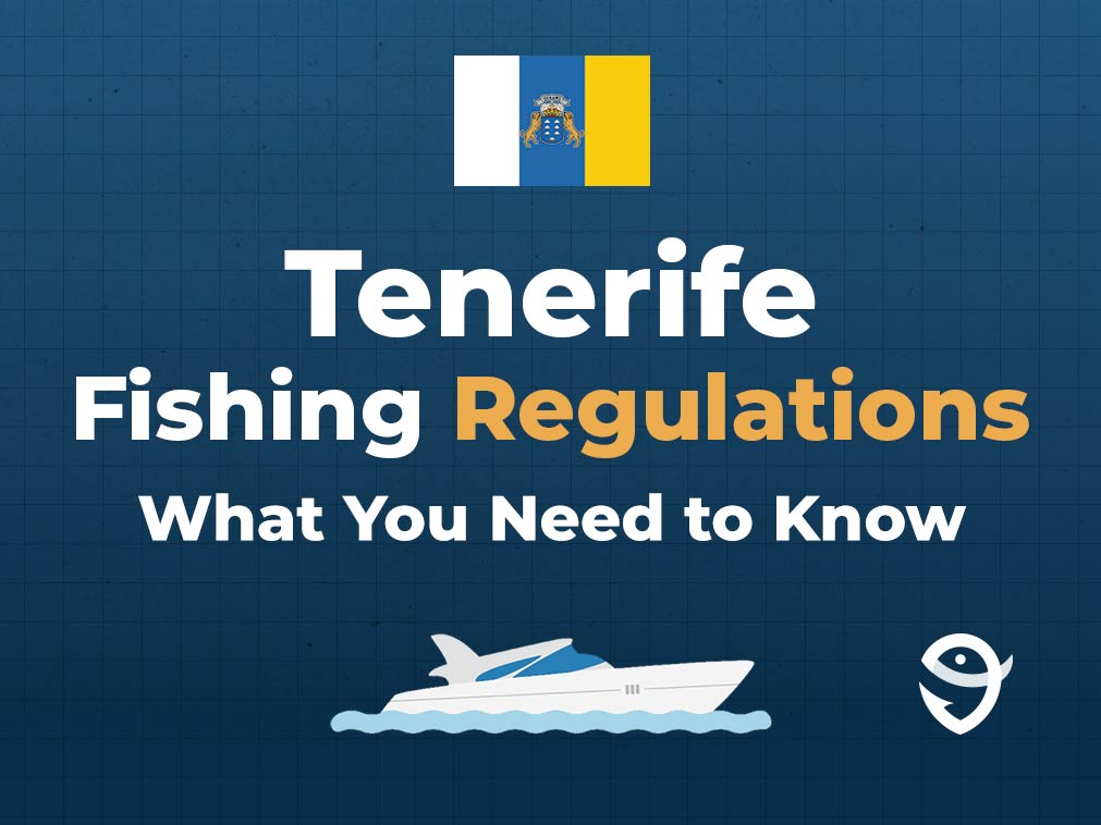 An infographic featuring the Canary Islands flag, a vector of a boat, and text saying "Tenerife Fishing Regulations: What You Need to Know" against a blue background