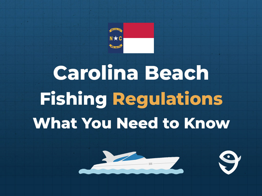 An infographic showing the state flag of North Carolina along with text that says "Carolina Beach Fishing Regulations What You Need to Know" against a dark blue background.
