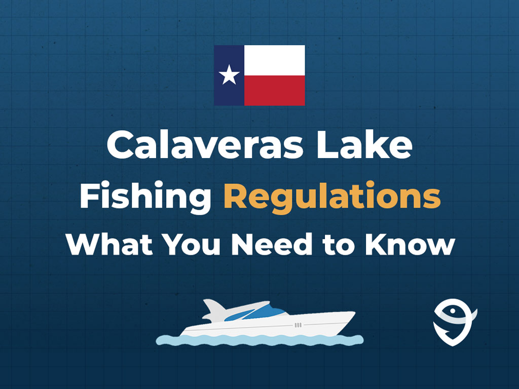 An infographic showing the state flag of Texas along with text that says "Calaveras Lake fishing regulations what you need to know" against a dark blue background.