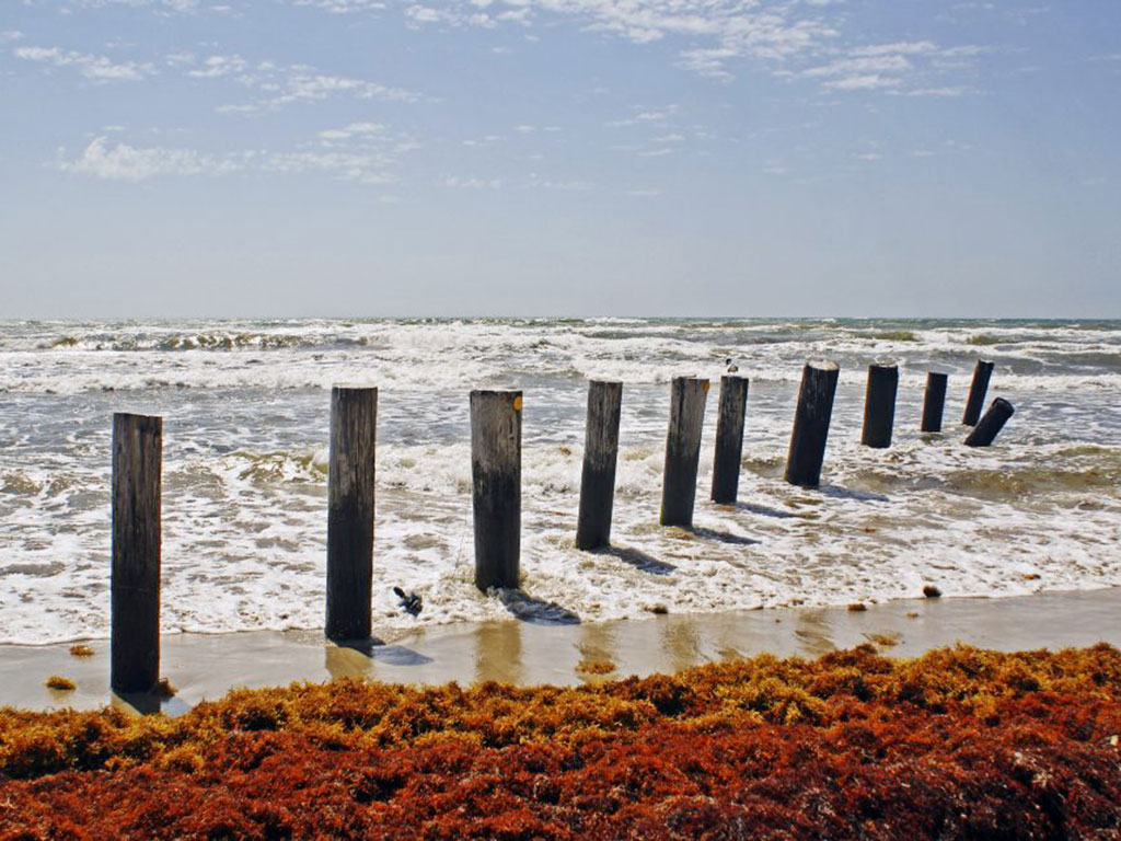 A look out into the Gulf of Mexico from North Padre Island, Texas.