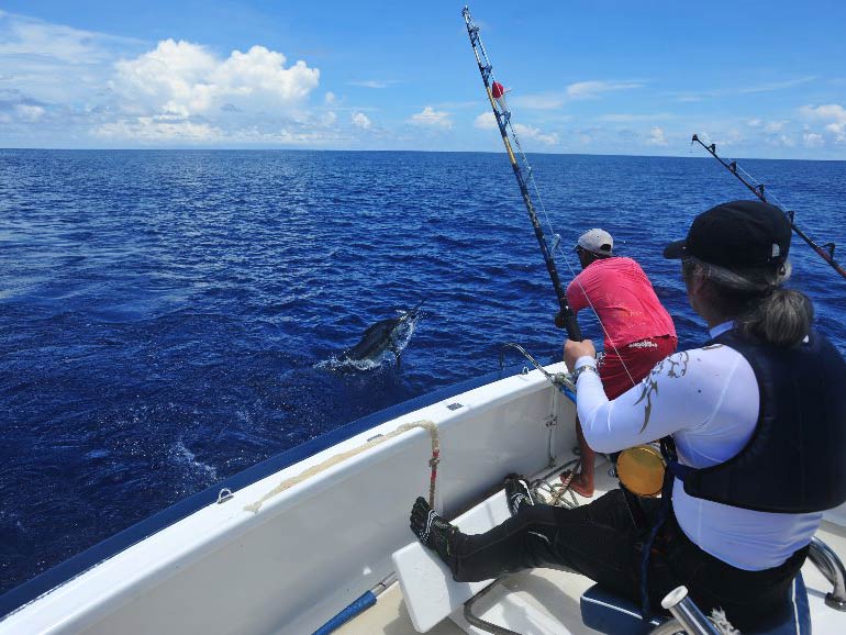 Two male anglers on a charter fishing boat fishing for Marlin that is shown jumping out of the water, Mauritius