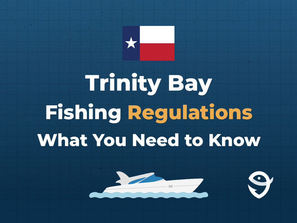 An infographic featuring the flag of Texas along with text that says "Trinity Bay Fishing Regulations What You Need to Know" against a dark blue background.
