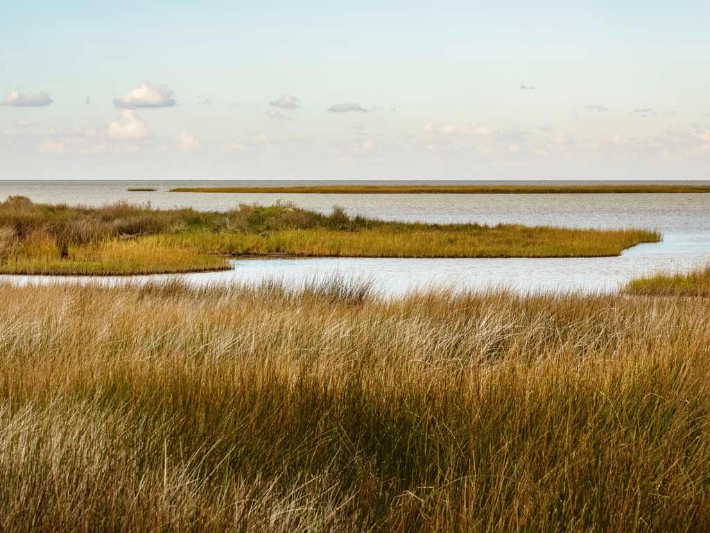 A scenic photo of a salt marsh in North Carolina and its vegetation on a hazy day.