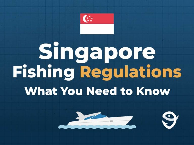 Fishing in SINGAPORE: The Complete Guide