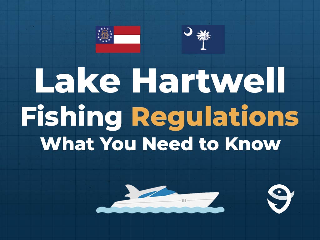An infographic featuring the flags of South Carolina and Gerogia, along with text saying "Lake Hartwell Fishing Regulations, What You Need to Know" above a vector of a boat against a blue background