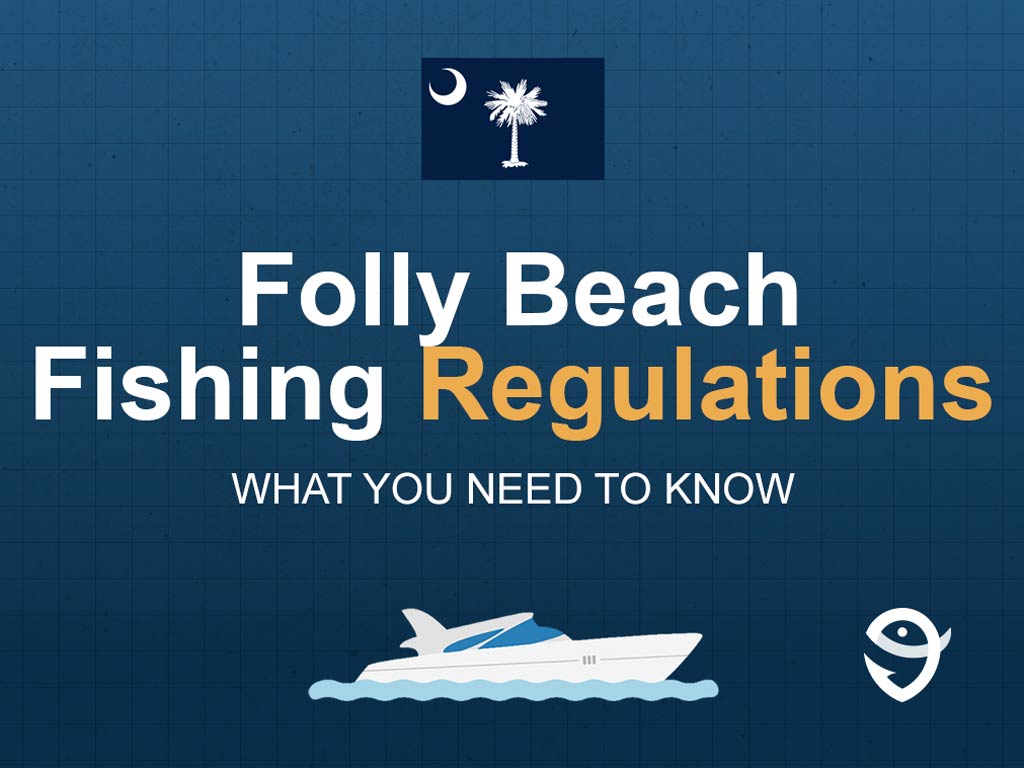 An infographic featuring the flag of South Carolina and text saying "Folly Beach Fishing Regulations, What You Need to Know" above a vector of a boat against a blue background