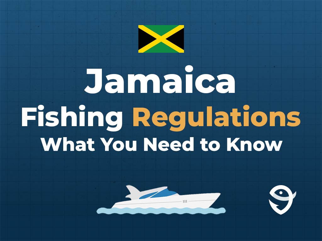 An infographic featuring the flag of Jamaica along with text that says "Jamaica fishing regulations, what you need to know" against a dark blue background