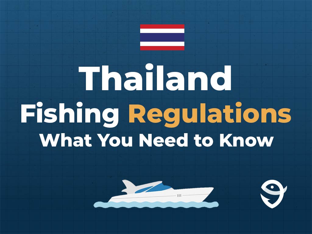 An infographic featuring the flag of Thailand along with text that says "Thailand fishing regulations, what you need to know" against a dark blue background