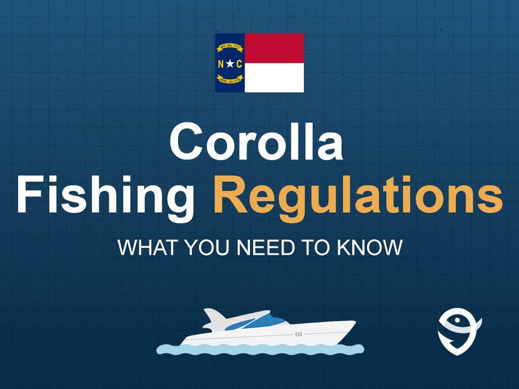 An infographic showing the state flag of North Carolina along with text that says "Corolla fishing regulations what you need to know" against a dark blue background.