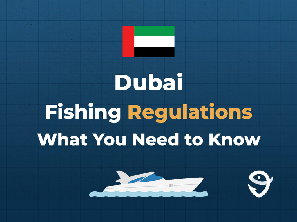 An infographic image featuring the flag of United Arab Emirates along with text that says "Dubai Fishing Regulations What You Need to Know" against a dark blue background.