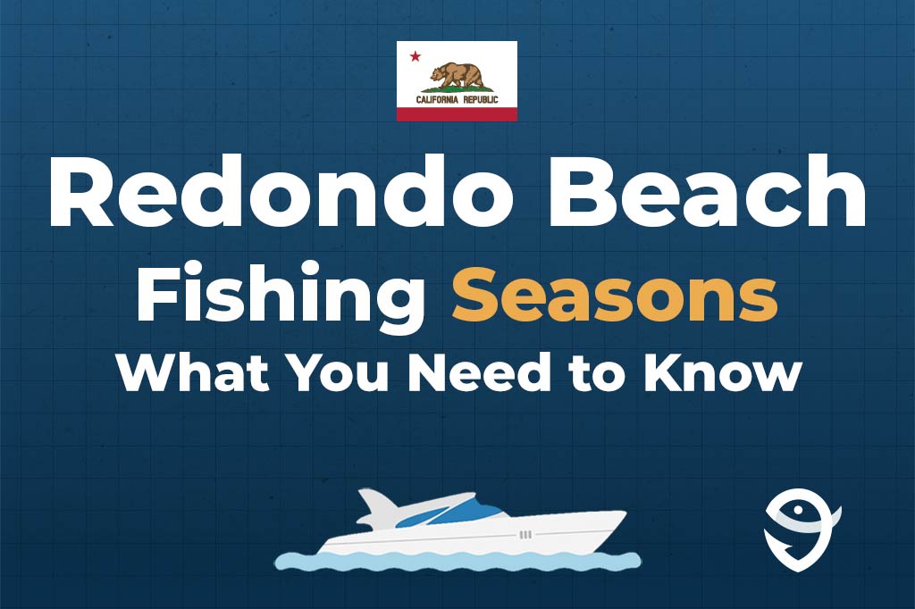 An infographic featuring the state flag of California along with text that says "Redondo Beach fishing regulations, what you need to know" against a dark blue background