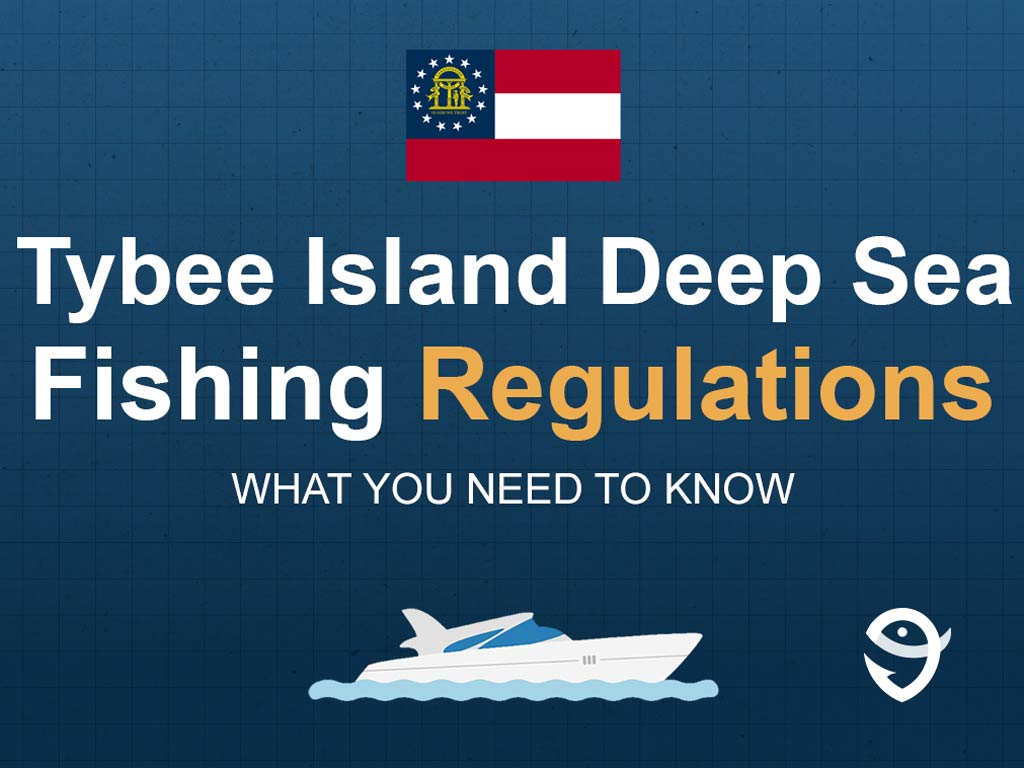 An infographic showing the state flag of Georgia along with text that says "Tybee Island Deep Sea Fishing Regulations What You Need to Know" against the dark blue background and above a vector of a boat and a FishingBooker logo