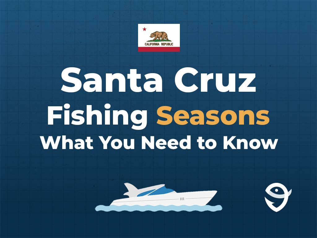 An infographic featuring the state flag of California along with text that says "Santa Cruz fishing regulations, what you need to know" against a dark blue background