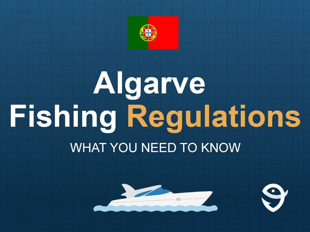 An infographic featuring the flag of Portugal with text that says "Algarve Fishing Regulations" with "What you need to know" written right below it.