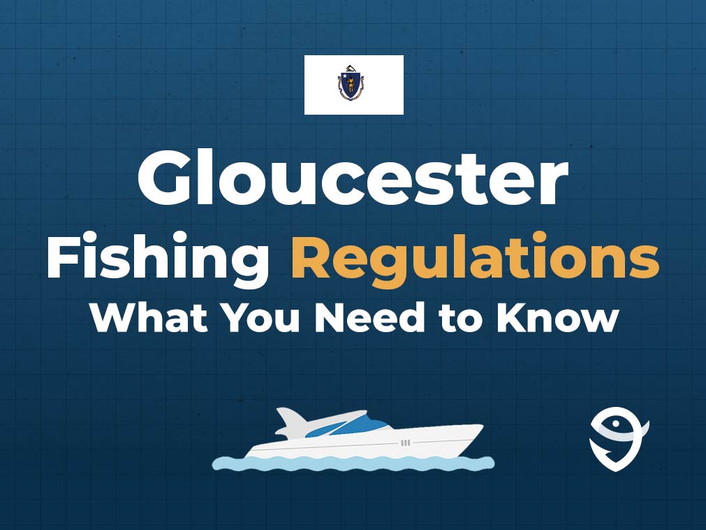 An infographic featuring the flag of Massachusetts and text saying "Gloucester Fishing Regulations, What You Need to Know" above a vector of a boat against a blue background