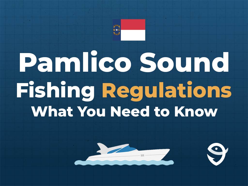 An infographic featuring the state flag of North Carolina along with text that says "Pamlico Sound fishing regulations, what you need to know" against a dark blue background