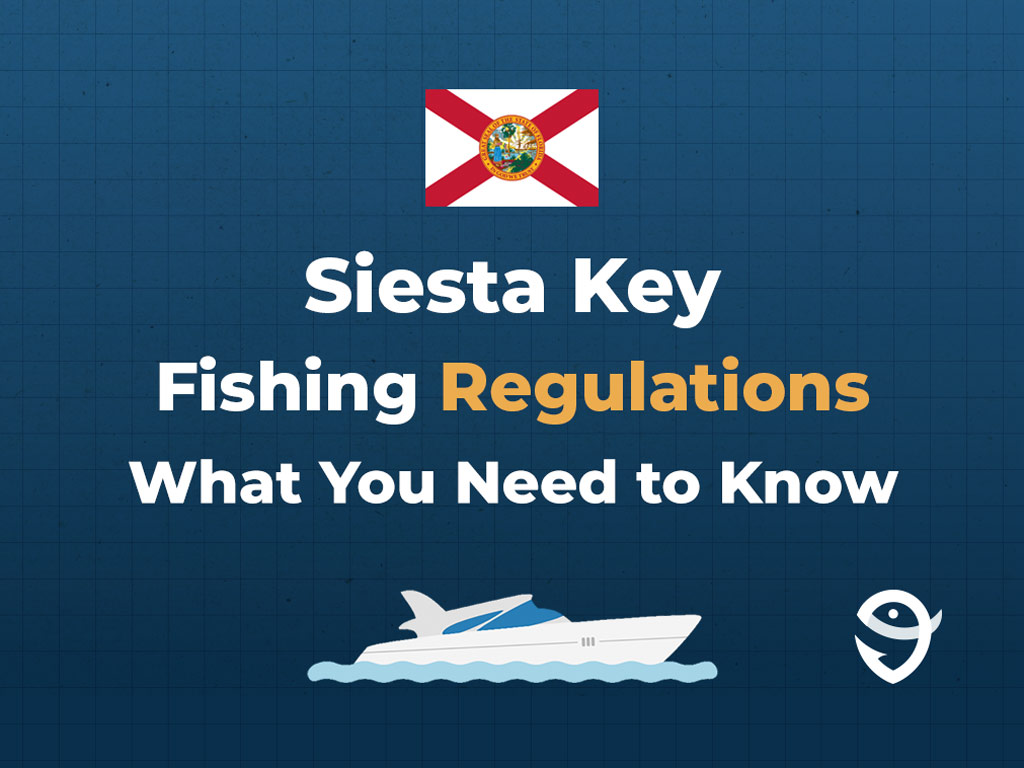 An infographic featuring the flag of Florida along with text that says "Siesta Key Fishing Regulations What You Need to Know" against a dark blue background.