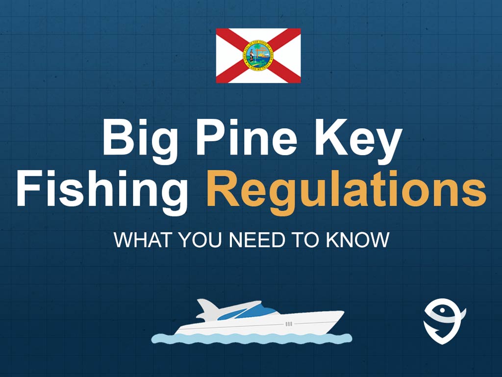 An infographic featuring the flag of Florida with text that says "Big Pine Key Fishing Regulations" with "What you need to know" written right below it.