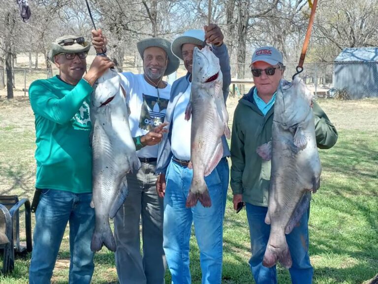 The Best Catfish Bait An Angler’s Guide