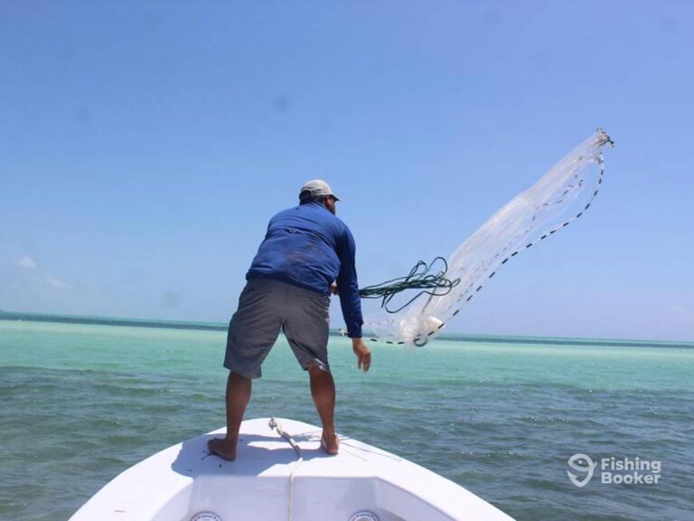 FishingBooker: San Pedro, Belize Fishing: The Complete Guide for 2024