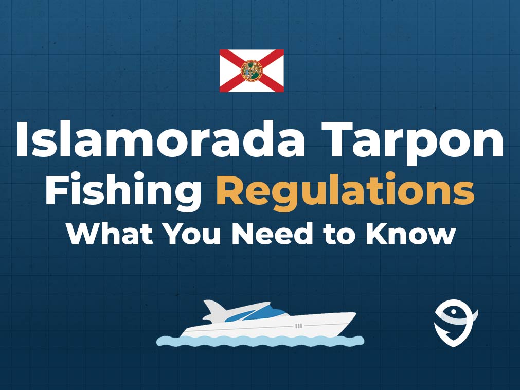 An infographic featuring the state flag of Florida along with text that says "Islamorada Tarpon Fishing Regulations: What You Need to Know" against a dark blue background.