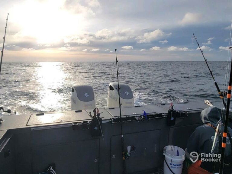 Garibaldi Fishing The Complete Guide for 2023