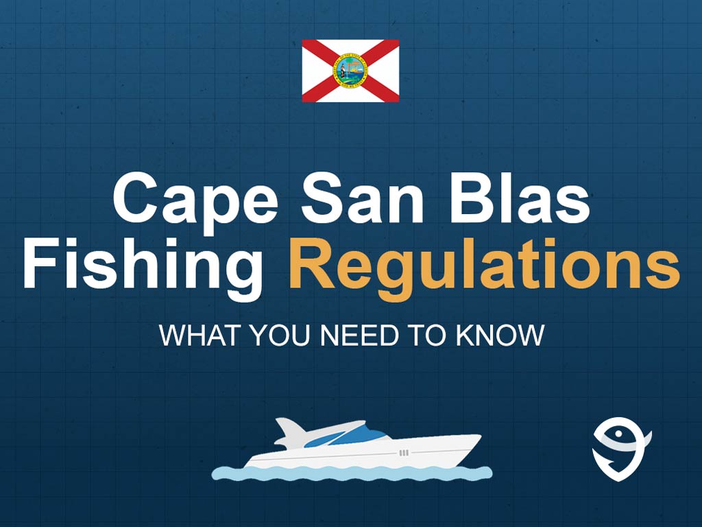An infographic showing the state flag of Florida along with text that says "Cape San Blas fishing regulations what you need to know" against a dark blue background.