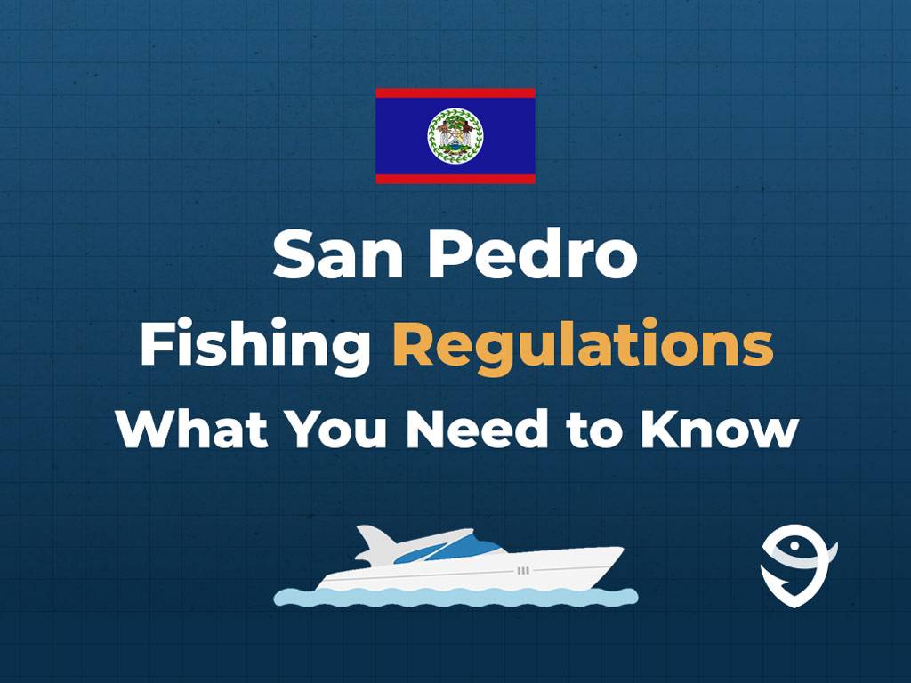 An infographic featuring the flag of Belize along with text that says "San Pedro Fishing Regulations What You Need to Know" against a dark blue background.