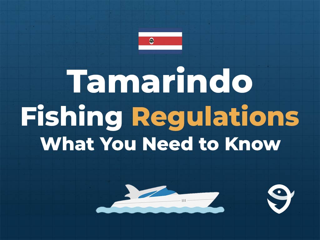 An infographic featuring the flag of Costa Rica and text saying "Tamarindo Fishing Regulations, What You Need to Know" above a vector of a boat against a blue background