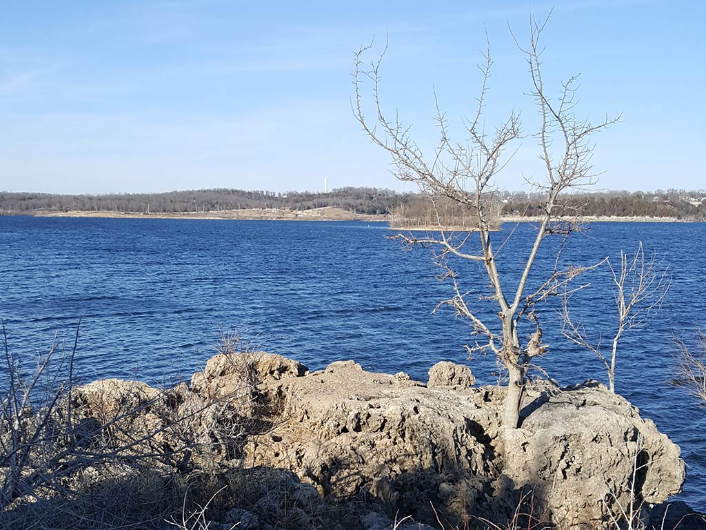 A view from the shore towards Lake Pomme de Terre in Michigan on a clear day with a barren small tree visible in the foreground
