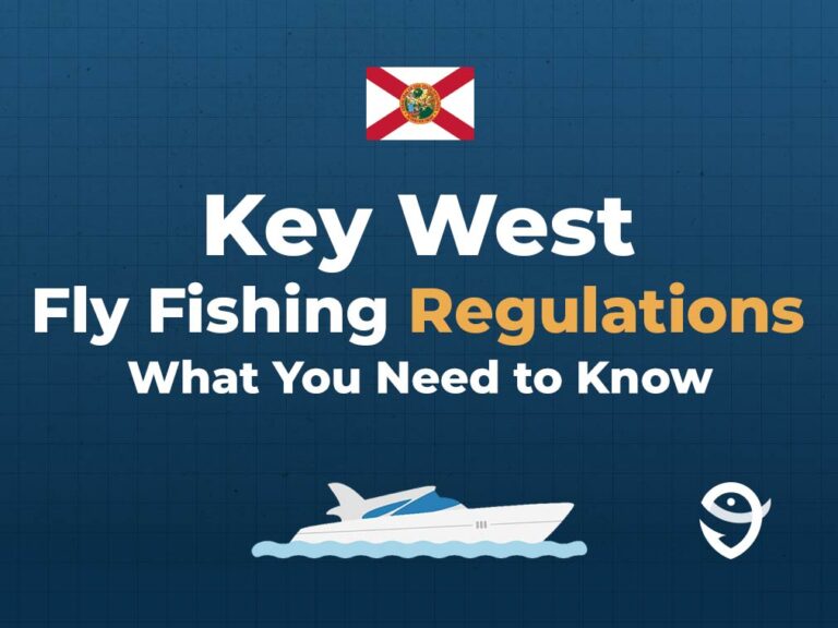 How to Go Fly Fishing in Key West An Angler’s Guide for 2024