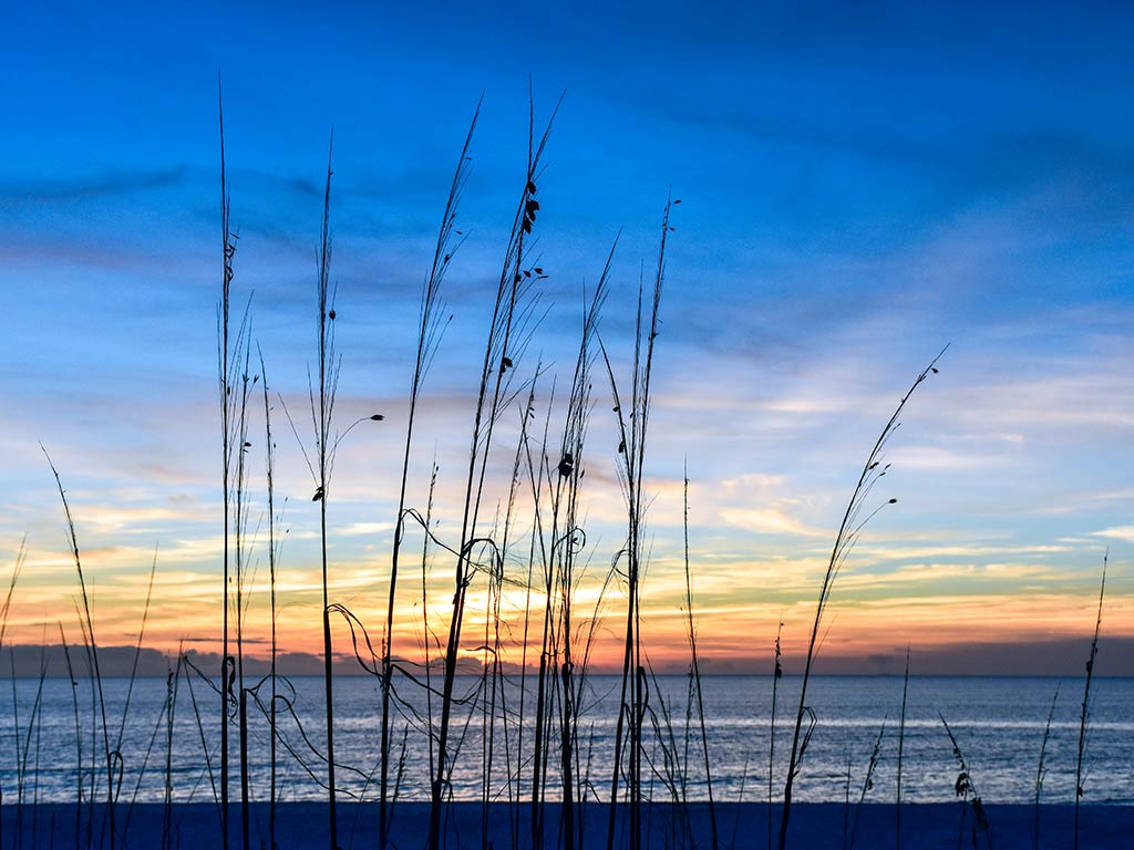 A view through the grass, across a beach towards the Gulf of Mexico from Cape San Blas with the sun setting in the distance