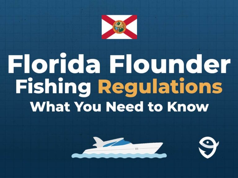 How to Go Flounder Fishing in Florida An Angler’s Guide for 2024
