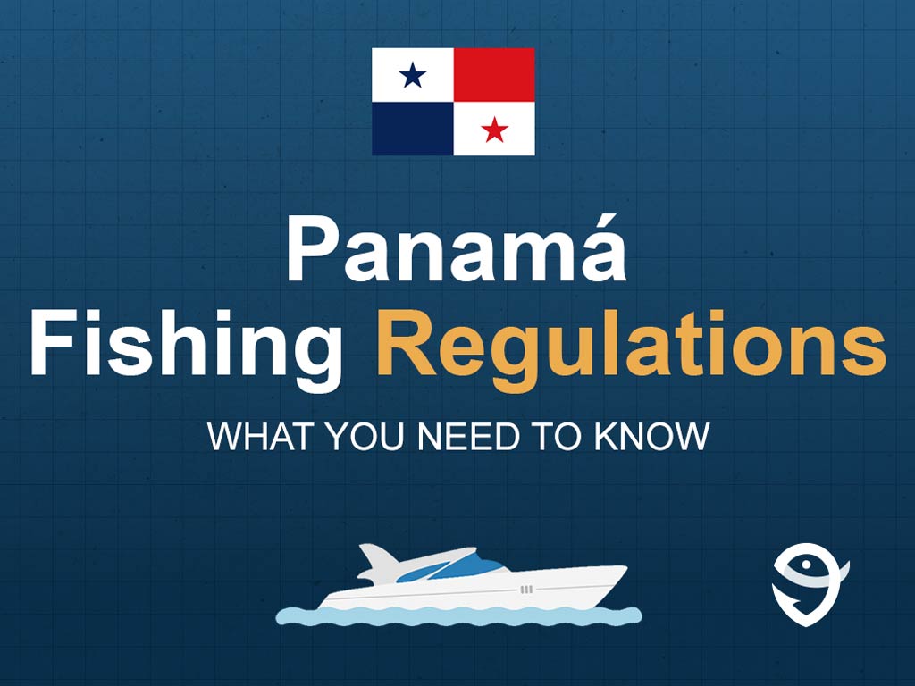 An infographic showing the state flag of Panamá along with text that says "Panamá fishing regulations what you need to know" against a dark blue background.