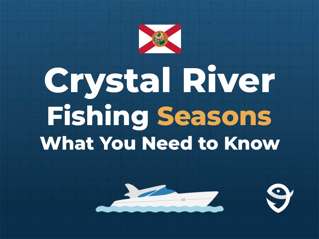 An infographic featuring the state flag of Florida along with text that says "Crystal River fishing seasons, what you need to know" against a dark blue background