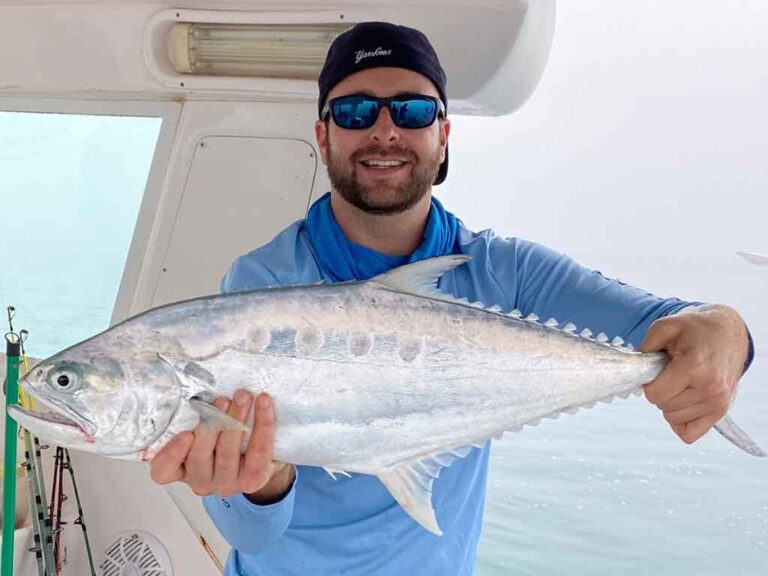 Fishing in ABU DHABI The Complete Guide