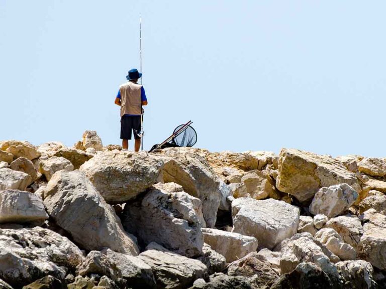 Fishing in MONTEGO BAY The Complete Guide