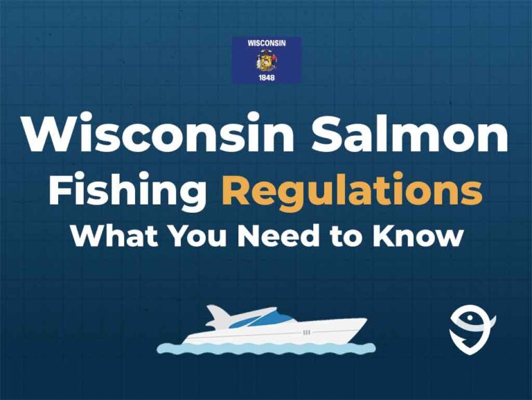 How to Go Salmon Fishing in Wisconsin An Angler’s Guide for 2024