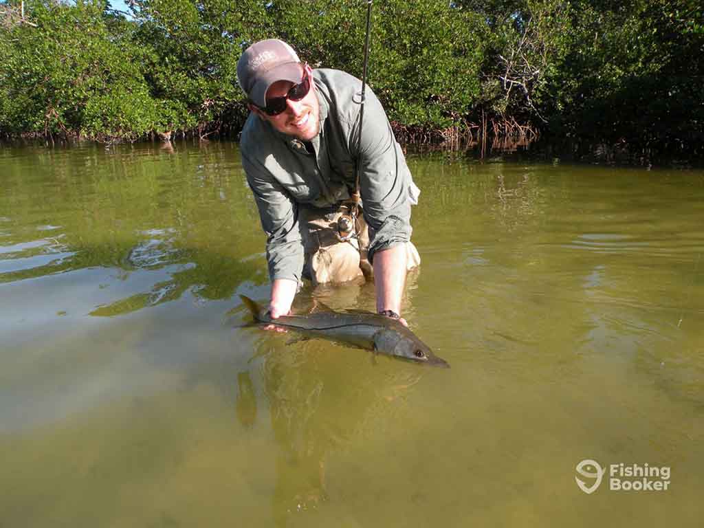 The Best Snook Bait: An Angler's Guide for 2024