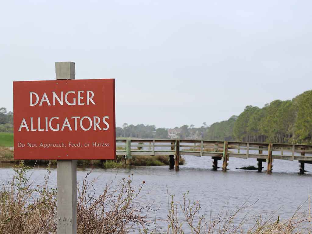 A view towards a pond on Kiawah Island with a bridge in the distance and a red sign in the foreground saying "Danger Alligators"